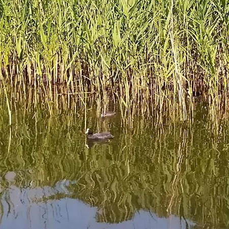 Domek Pralinka Nad Jeziorem - 