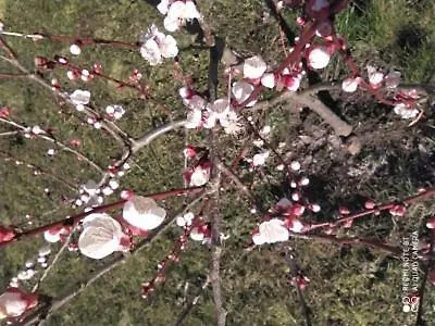 Domek Pralinka Nad Jeziorem - 